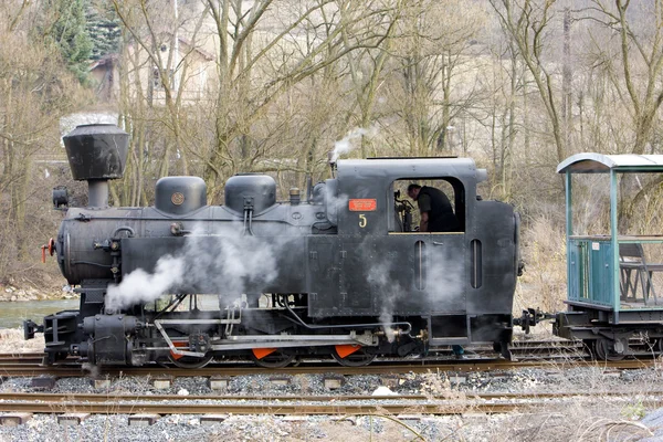 Last day of service of CKD steam locomotive n. 5 (1.4.2008), Cie — Stock Photo, Image