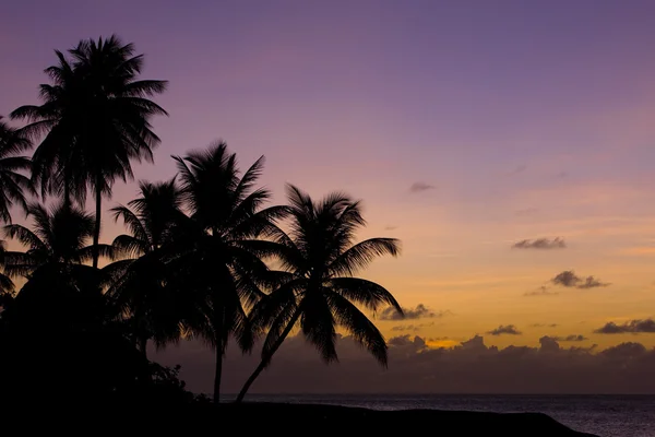 Zonsondergang, strand van de schildpad, tobago — Stockfoto