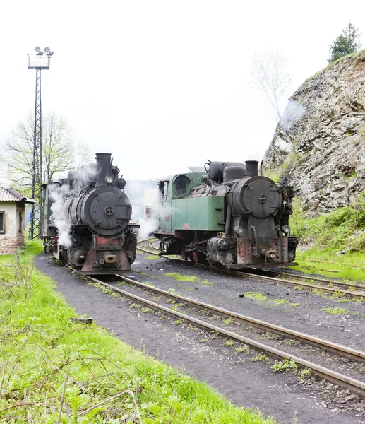 Steam lok, oskova, Bosnien och hercegovina — Stockfoto