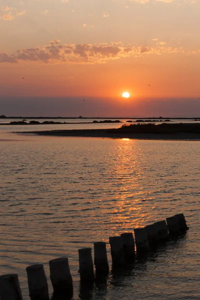 Sunset in Camargue, Provence, France — Stock Photo, Image