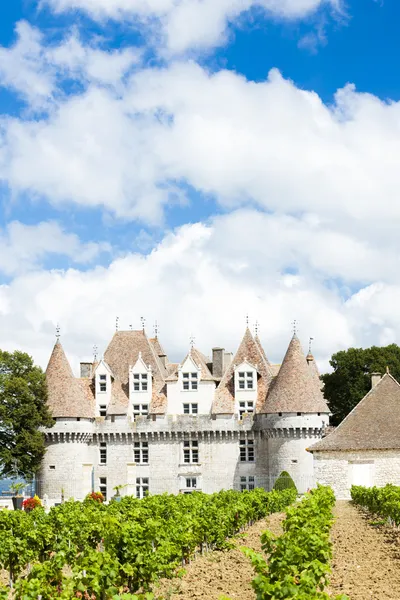 Monbazillac slott med vingård — Stockfoto