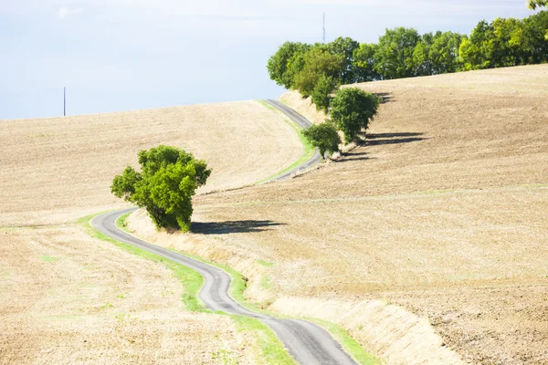 Feld mit einer Straße — Stockfoto