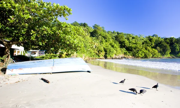 Maracas-Bucht — Stockfoto