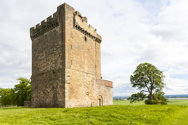 Clackmannan Tower — Stockfoto