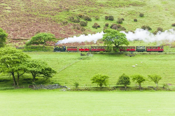 Tren de vapor — Foto de Stock