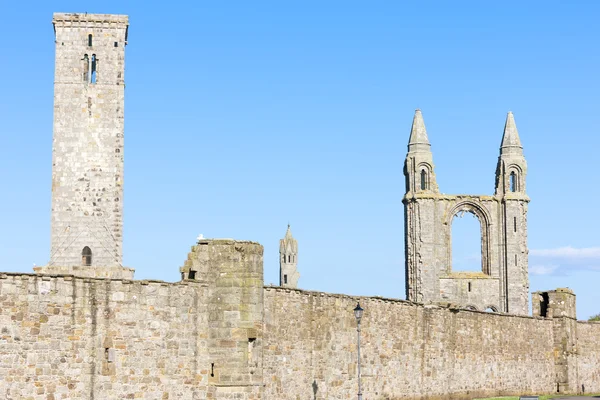 Ruins of St. Rule's church and cathedral — Stock Photo, Image