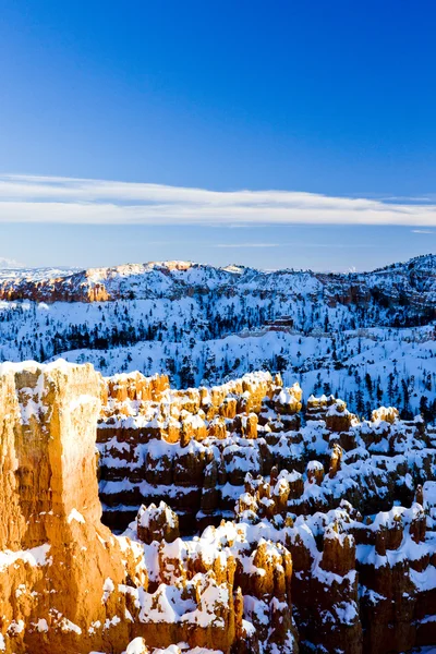 Bryce Canyon Nationaal Park in de winter — Stockfoto