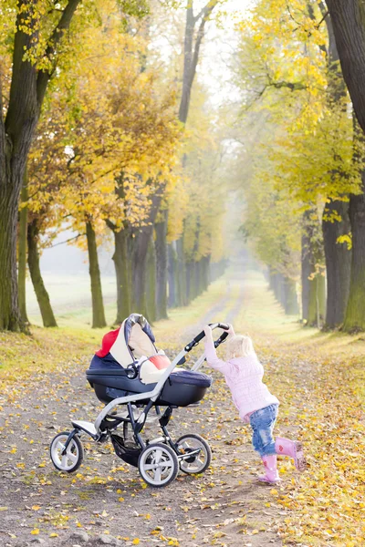 Dziewczynka z wózka na spacer jesienny aleja — Zdjęcie stockowe