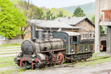 Buhar lokomotif (126.014), resavica, Sırbistan