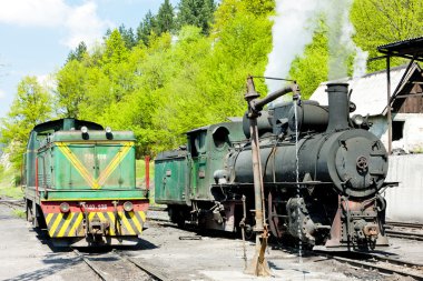Lokomotifler, teslim noktası oskova, Bosna ve Hersek
