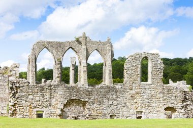 kalıntıları bayham abbey, kent, İngiltere