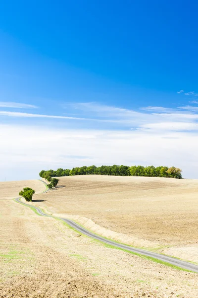 Veld met een road, departement gers, Frankrijk — Stockfoto