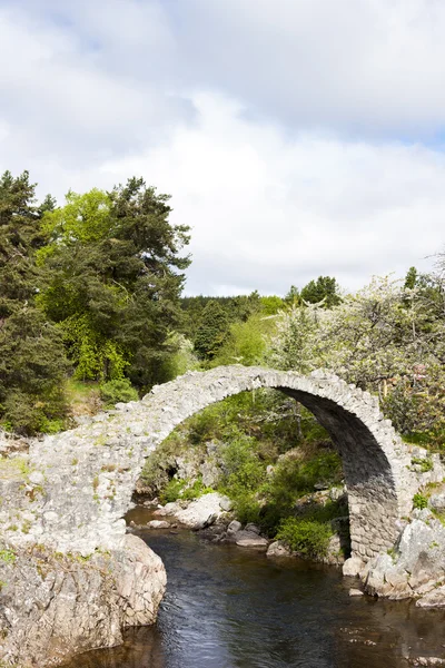 Oude packhorse brug carrbridge, highlands, Schotland — Stockfoto
