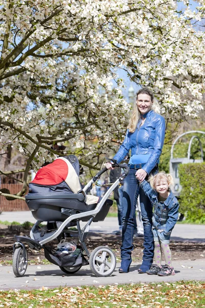 Anne ve kızı Bahar üzerinde çocuk arabası ile yürümek — Stok fotoğraf