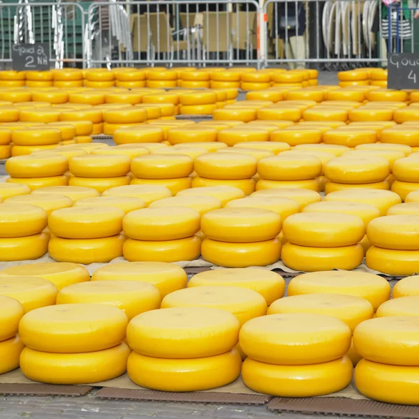 Mercado de queijos, Alkmaar, Países Baixos — Fotografia de Stock