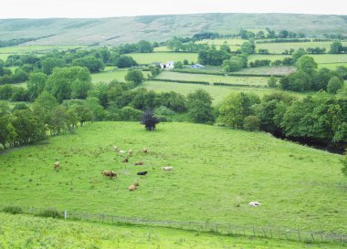 Sperrin dağlar, county tyrone, Kuzey İrlanda