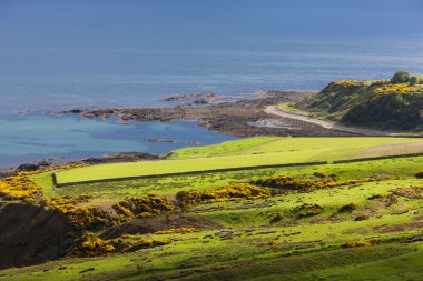 landscape near Helmsdale, Highlands, Scotland clipart