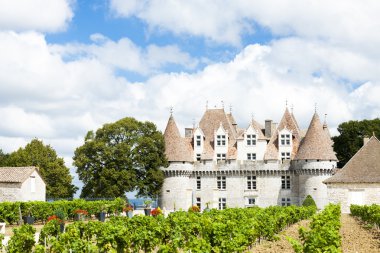 monbazillac kale üzüm, aquitaine, Fransa