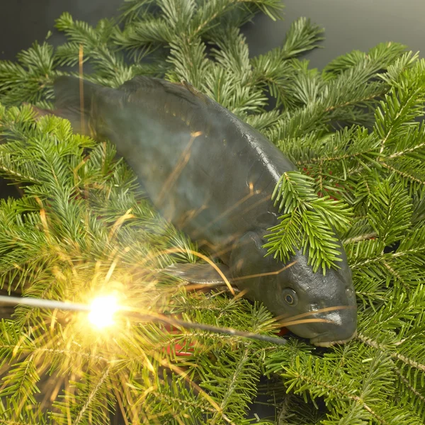 Tradição de Natal Checa (Carpa de Natal ) — Fotografia de Stock