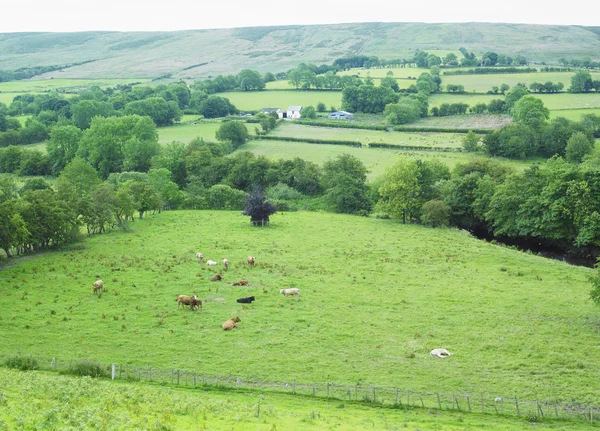 Sperrin Mountains, County Tyrone, Northern Ireland — Stock Photo, Image