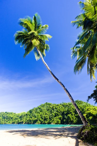 Englishman 's Bay, Tobago — Stockfoto