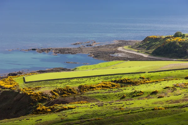 Paisagem perto de Helmsdale, Highlands, Escócia — Fotografia de Stock