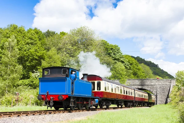 Ånga tåg, vid sjön och haverthwaite järnväg, cumbria, england — Stockfoto