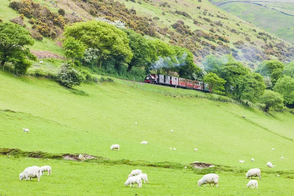 Gőzmozdonnyal, Talyllyn vasút, Wales — Stock Fotó