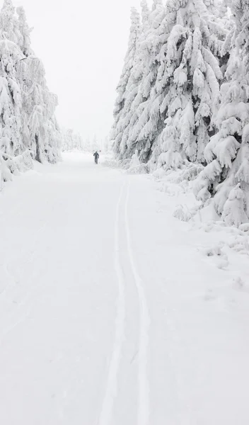हिवाळी लँडस्केप, ऑर्लिक पर्वत, चेक प्रजासत्ताक — स्टॉक फोटो, इमेज