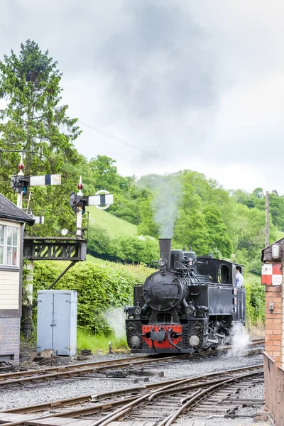 Welshpool çekin ve llanfair hafif demiryolu, Galler — Stok fotoğraf