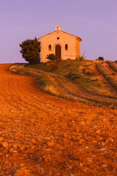 Kapell med lavendelfelt, Plateau de Valensole, Provence, Fran – stockfoto