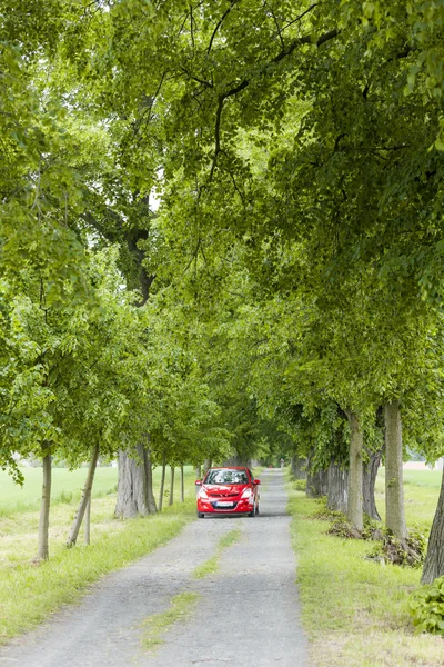 Červené auto v uličce — Stock fotografie