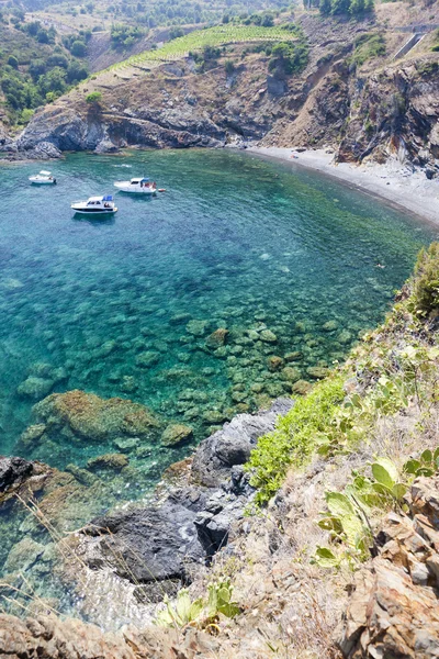 Cap de Peyrefite, Languedoc-Roussillon, Frankrike — Stockfoto