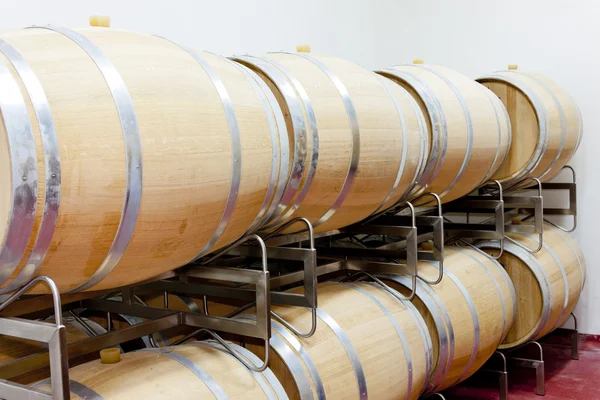 Barrique barrels for winery — Stock Photo, Image