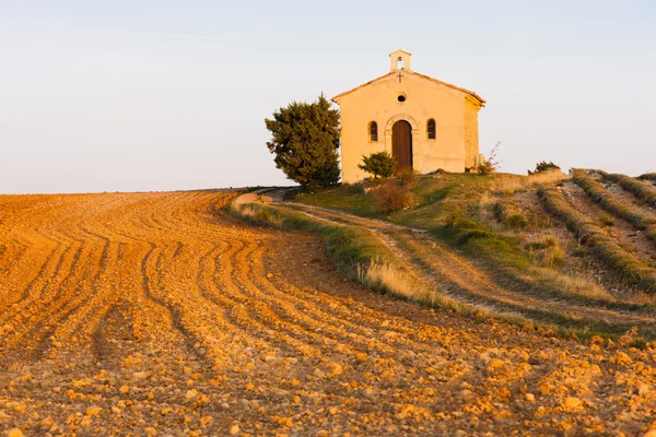 Cappella con campo di lavanda, Plateau de Valensole, Provenza, Fran — Foto Stock