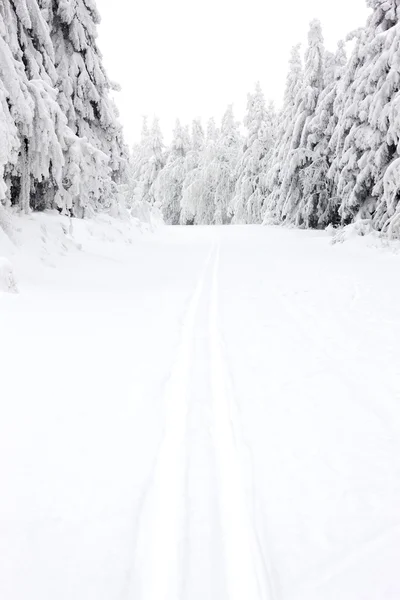 Paisaje invierno —  Fotos de Stock