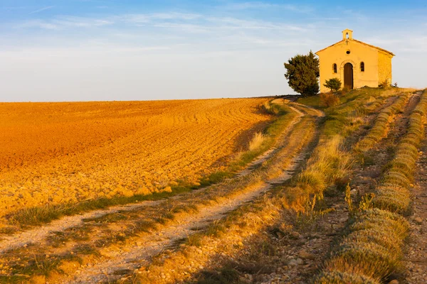 Chapel with lavender field, Plateau de Valensole, Provence — Stock Photo, Image