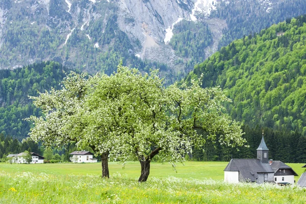 Osztrák Alpokban — Stock Fotó