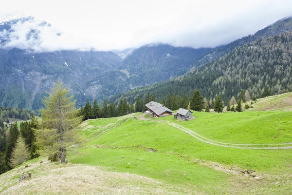 üst tauern Milli Parkı