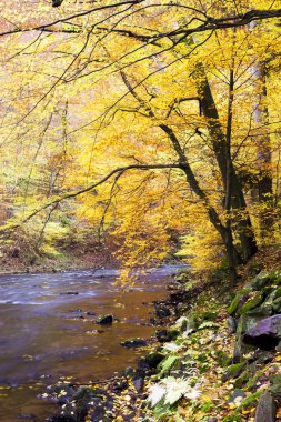 Güz metuje Nehri