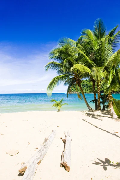 Bahía del Inglés. — Foto de Stock