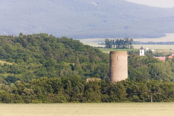 Zebrak slott — Stockfoto