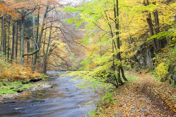 在秋天的 metuje 河 — 图库照片