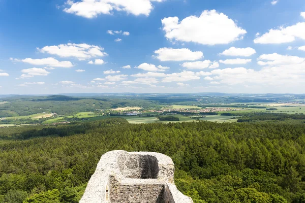 Schloss Radyn — Stockfoto