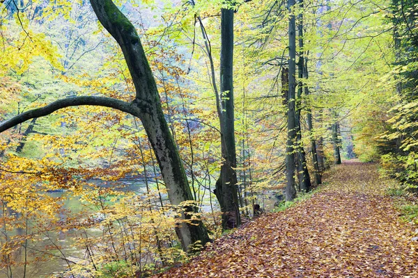 Peklo-Tal im Herbst — Stockfoto