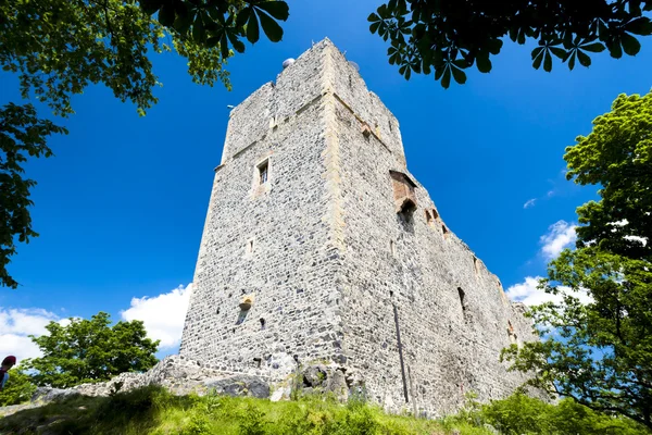 Ruinen der Burg Radyn, Tschechische Republik — Stockfoto