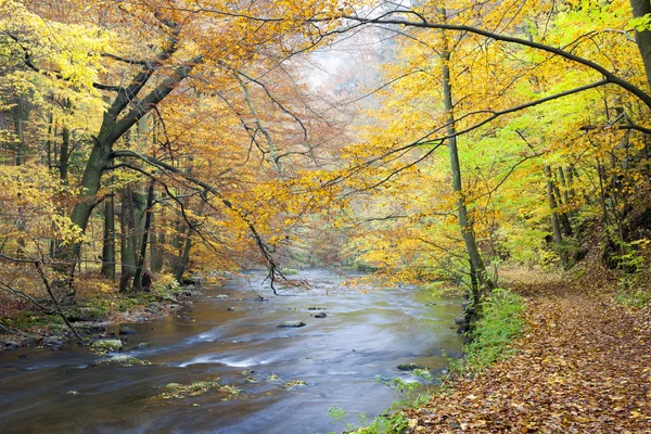 Rivière Metuje en automne — Photo