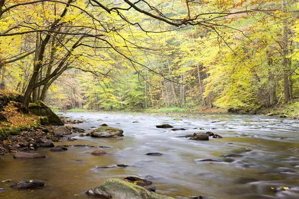 在秋天的 metuje 河 — 图库照片