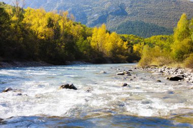 nehir verdon Güz Vadisi