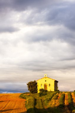 Şapel ile lavanta alan